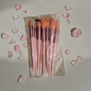 New 13 Pc Pink Makeup Brush Set with Rose Gold Ferrules
